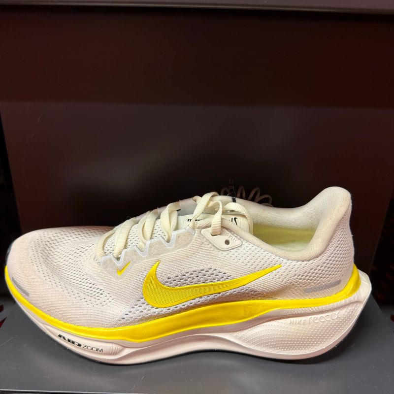 AIR ZOOM PEGASUS