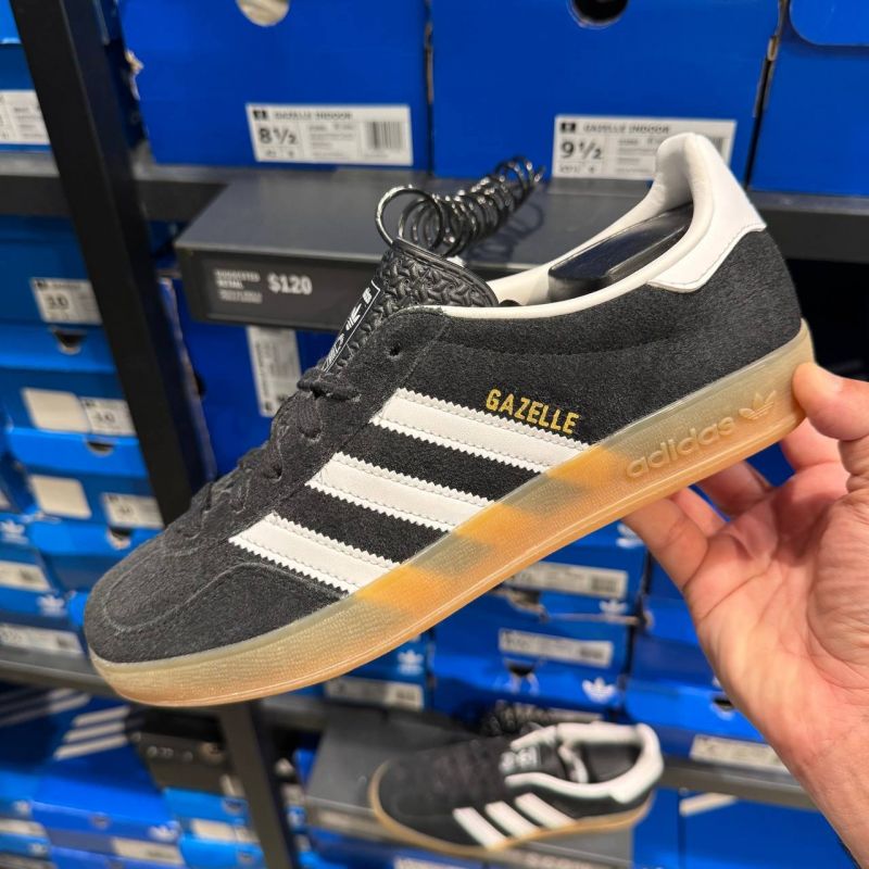 GAZELLE INDOOR
