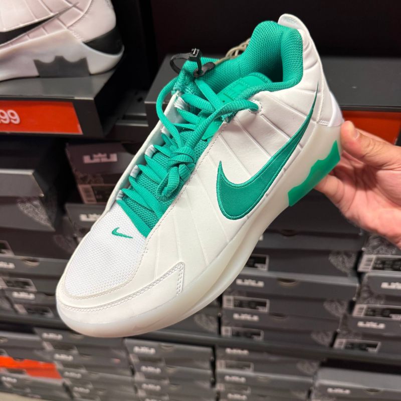 LEBRON WITNESS IX