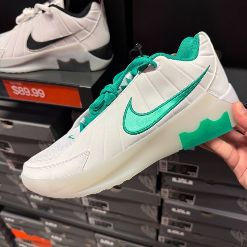 LEBRON WITNESS IX