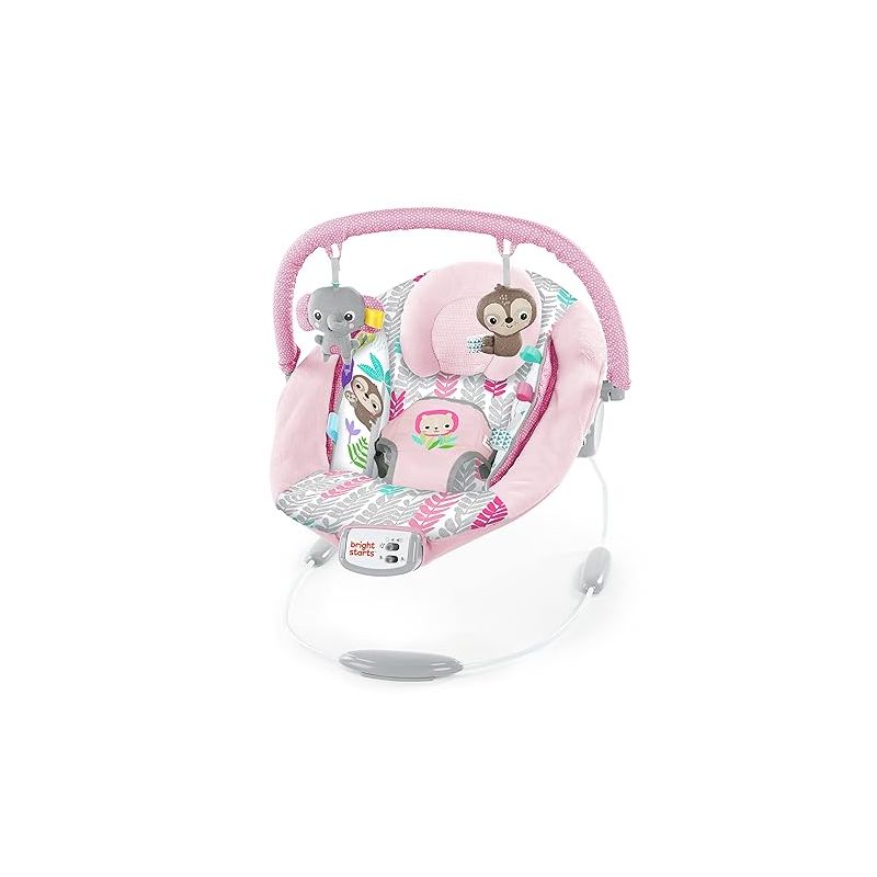 Bright Starts Comfy Baby Bouncer Soothing Vibrations Infant Seat - Taggies, Music, Removable -Toy Bar
