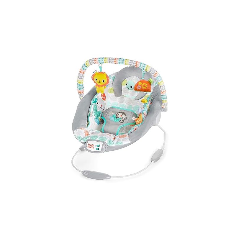 Bright Starts Comfy Baby Bouncer Soothing Vibrations Infant Seat