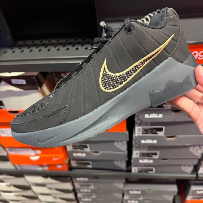 LEBRON WITNESS IX