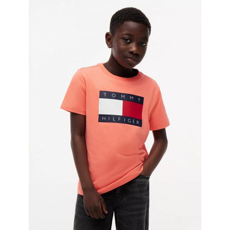Kids Tommy Flag Logo T-Shirt