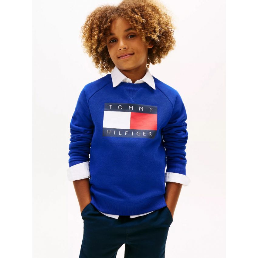 Kids' Tommy Flag Logo Raglan Sweatshirt