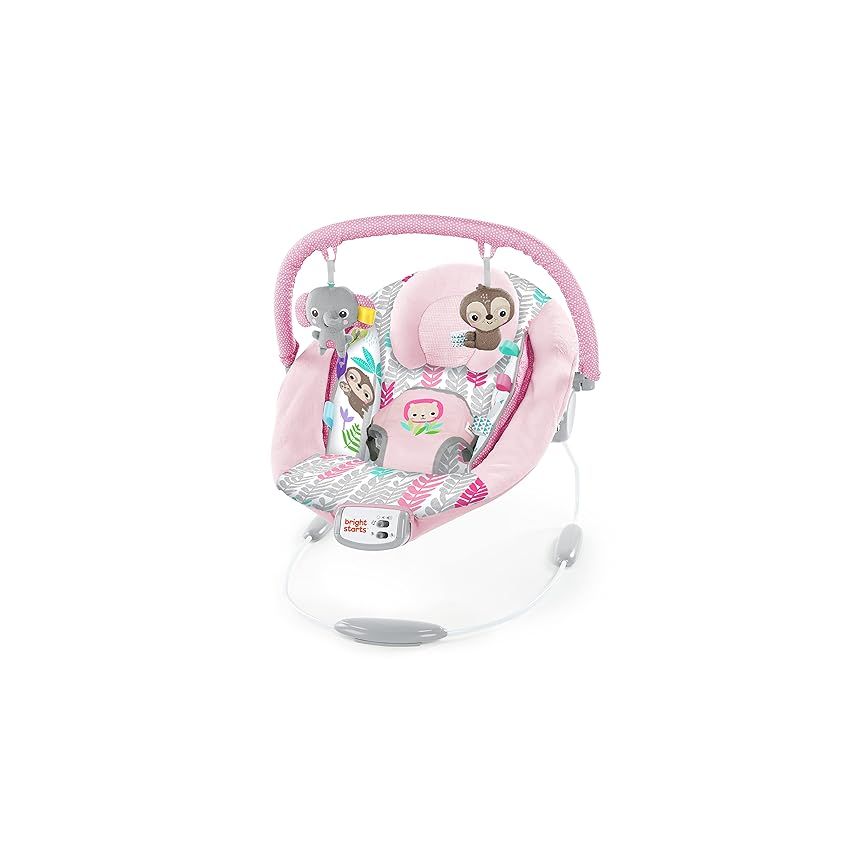 Bright Starts Comfy Baby Bouncer Soothing Vibrations Infant Seat - Taggies, Music, Removable -Toy Bar
