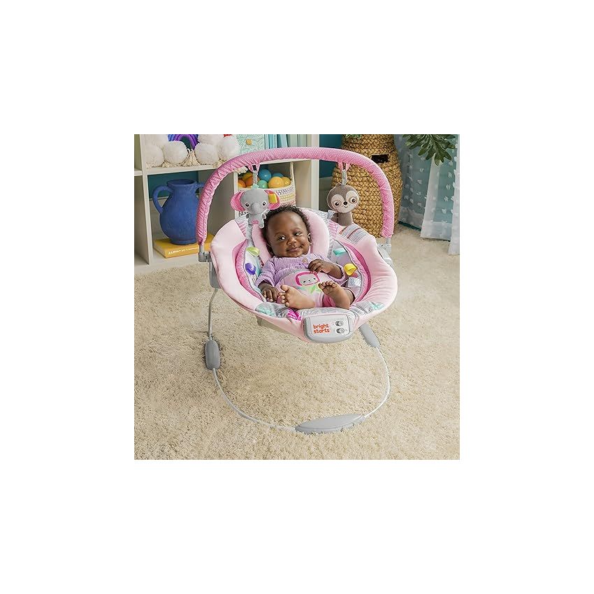 Bright Starts Comfy Baby Bouncer Soothing Vibrations Infant Seat - Taggies, Music, Removable -Toy Bar