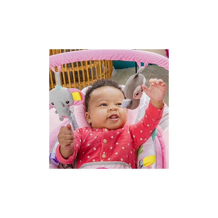 Bright Starts Comfy Baby Bouncer Soothing Vibrations Infant Seat - Taggies, Music, Removable -Toy Bar