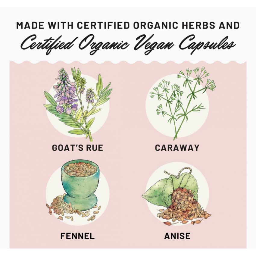 Legendairy Milk Lechita, Supports Milk Flow