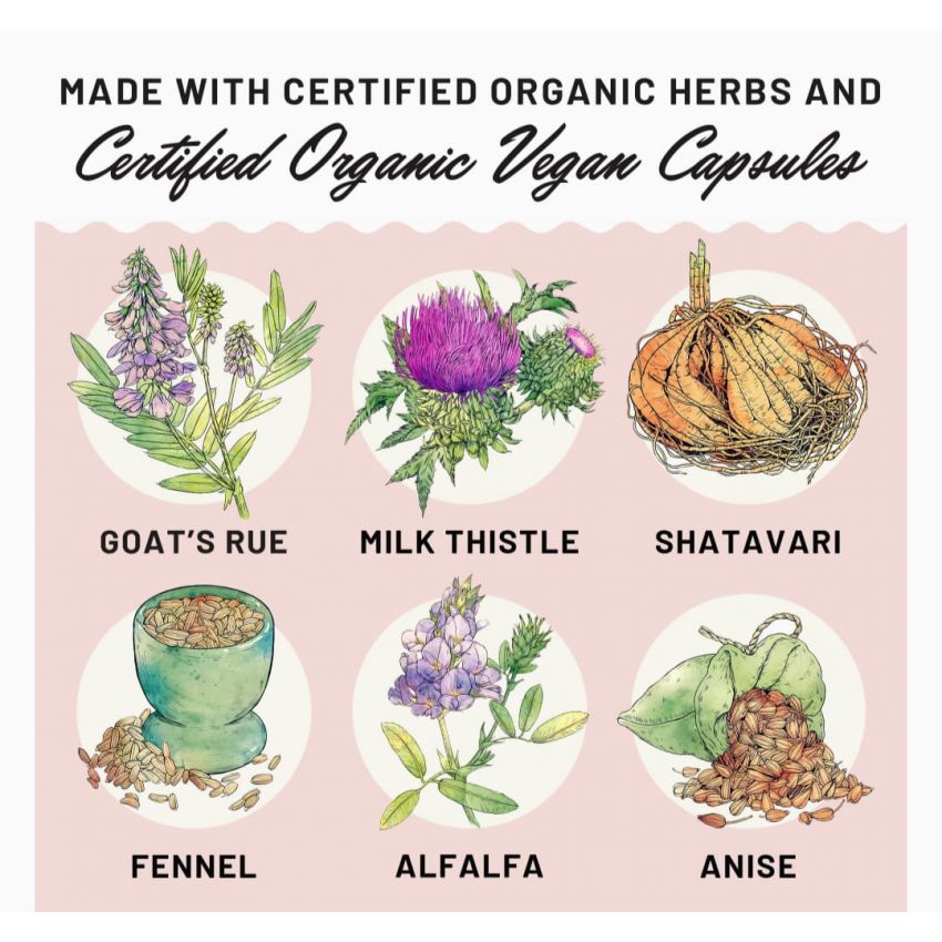 Legendairy Milk Sunflower Lecithin, 1200mg Organic Sunflower Lecithin Supplement for Clogged Milk Ducts