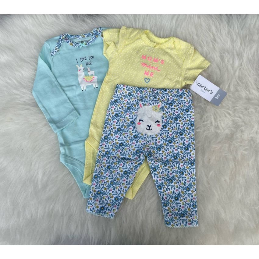 Conjunto 3 meses