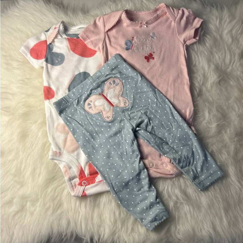 Conjunto 12 meses