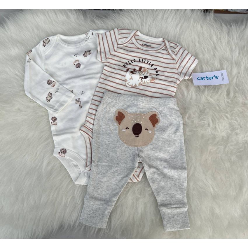 Conjunto 12 meses