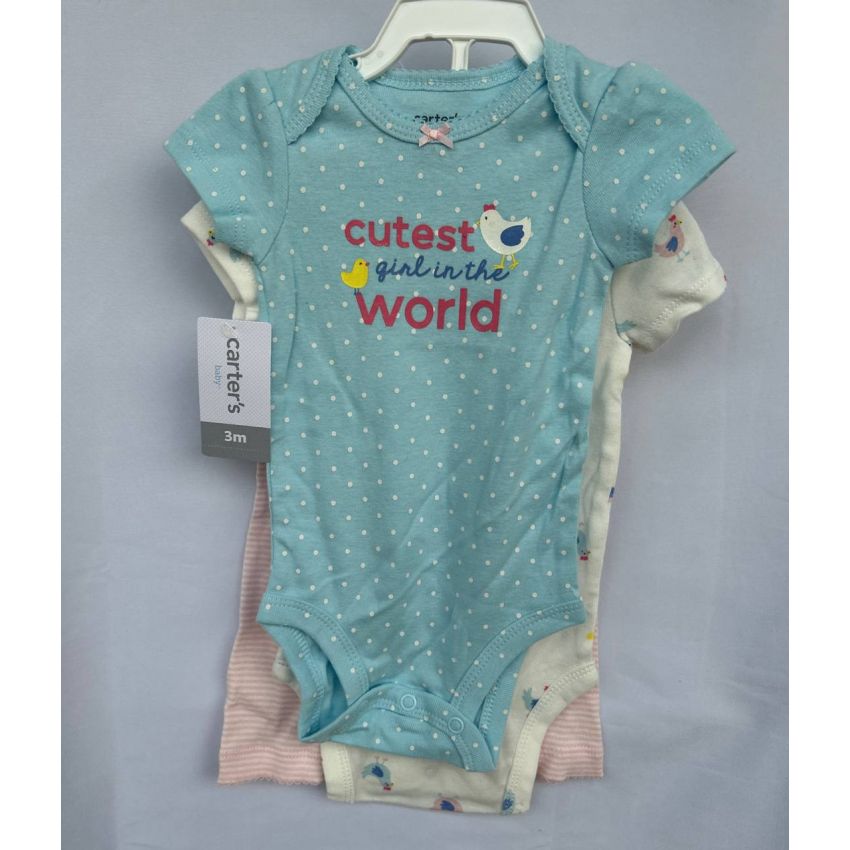 Conjunto 12 meses