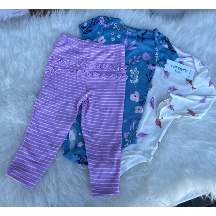 Conjunto 12 meses
