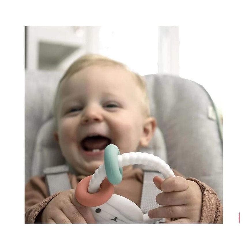 INGENUITY - SOOTHING SHEPPY BABY TEETHER TOY WITH ACTIVITY RINGS