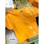 CAMISETA MANGA CURTA cor única