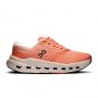 Cloudrunner 3