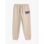 Varsity Tommy Logo Sweatpant