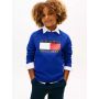 Kids' Tommy Flag Logo Raglan Sweatshirt