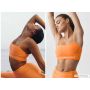 Alosoft Relay Bra