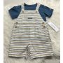 Conjunto CK 18 meses