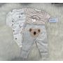 Conjunto 12 meses